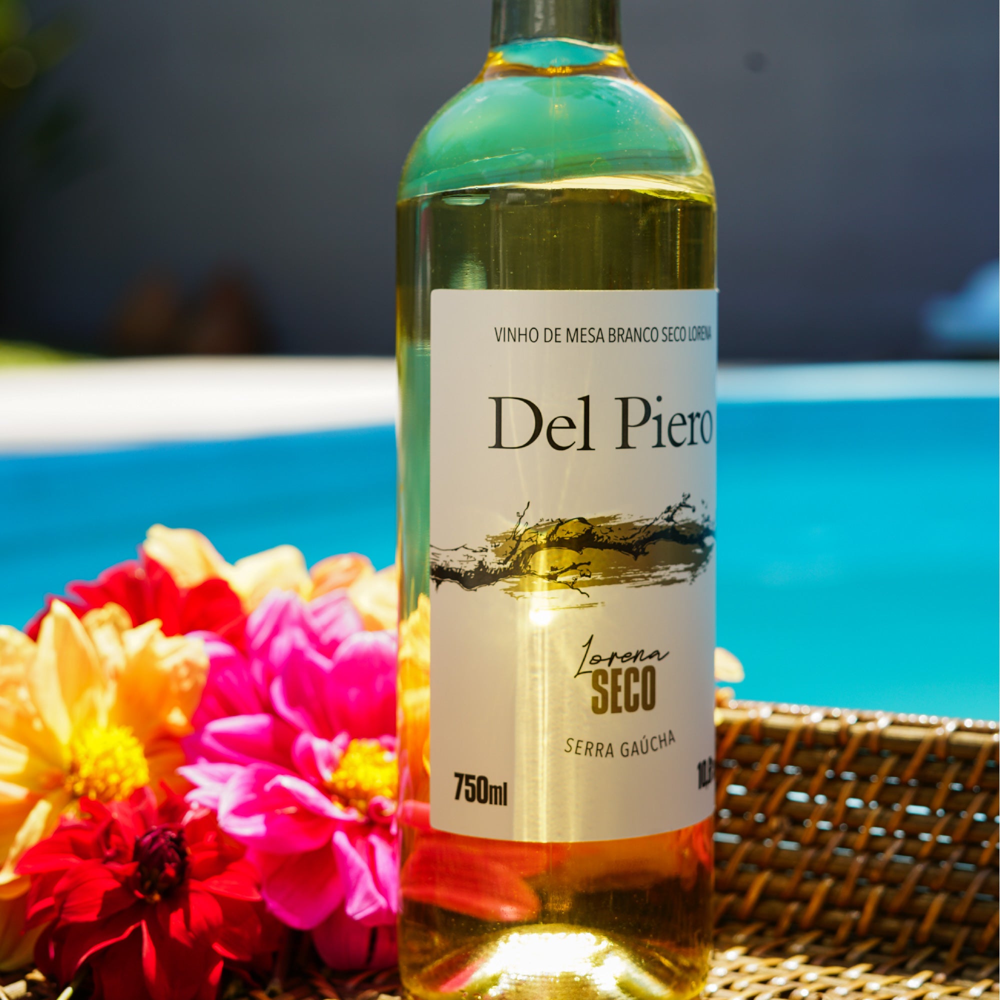 Caixa de Vinho de Mesa Branco Seco Lorena (12un)